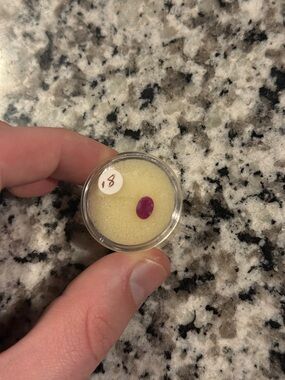 0.8 Carat Natural Ruby Oval Loose Stone